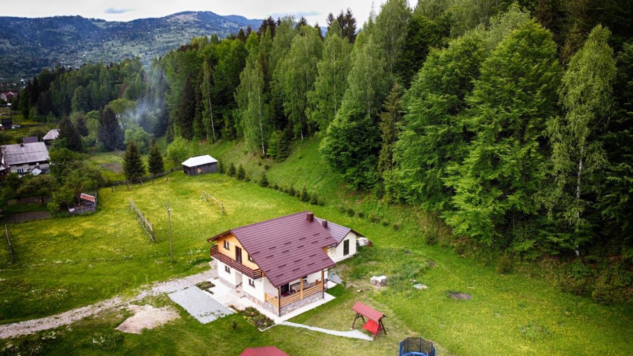 Pensiunea Floare De Colt Мойсей Екстер'єр фото